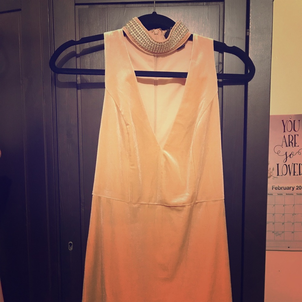 Velvet Pink Dress